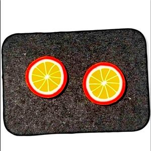 New Handmade Artisan Persimmon Slices Polymer Clay Hypoallergenic Stud Earrings